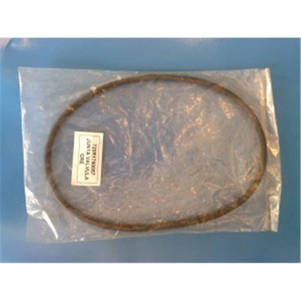 JUNTA CONJUNTO VALVULA