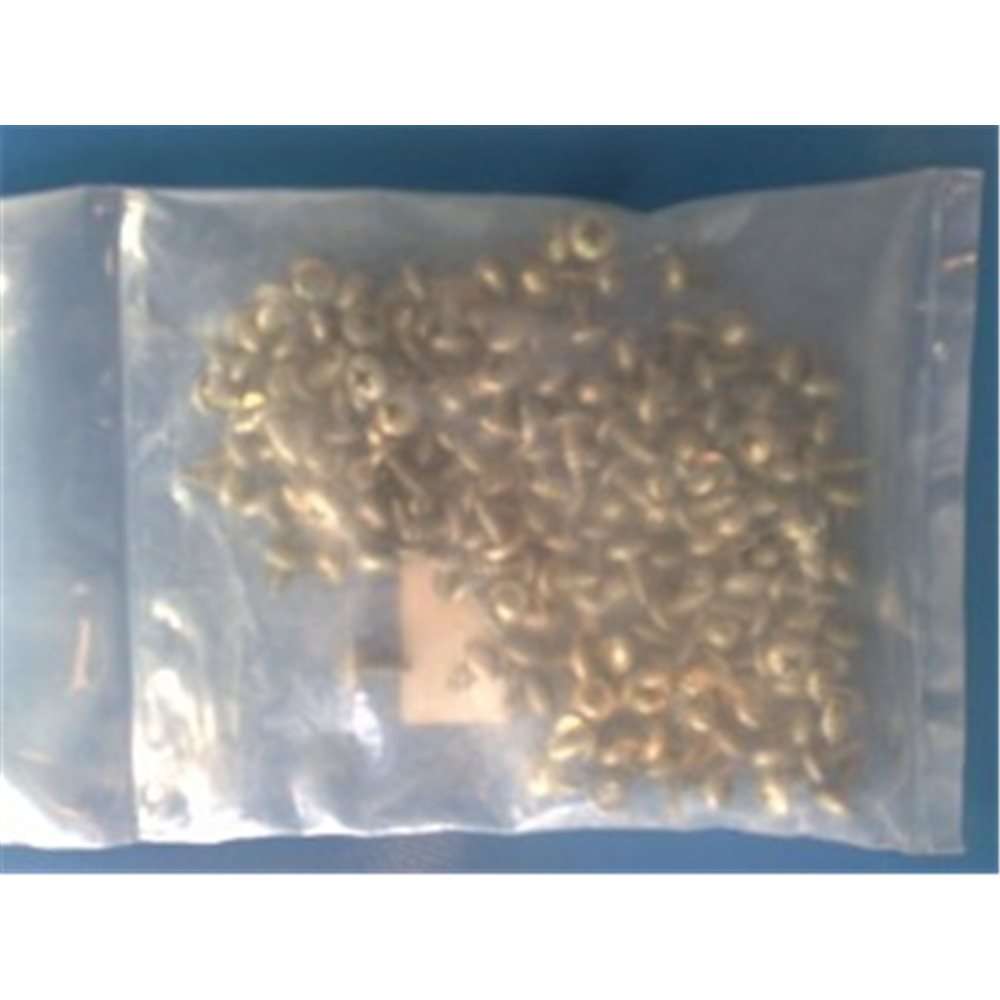 21 TORNILLOS DE CIERRE DE PISCINA RIGIDA GRE